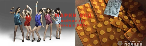 стафф Покров