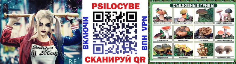 сколько стоит  Сердобск  Галлюциногенные грибы Magic Shrooms 
