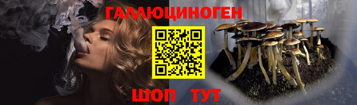 Псилоцибиновые грибы Magic Shrooms Сердобск