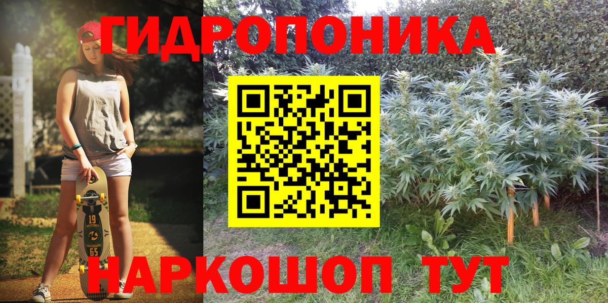 Сердобск  Бошки марихуана OG Kush  Вход с VPN  Бошки Шишки семена  Канабис сатива 